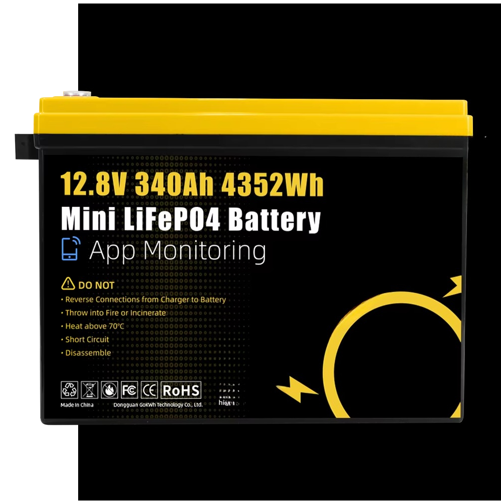 Akumulator litowo-żelazowo-fos – Rv Lithium Battery 200Ah recenzja i cena
